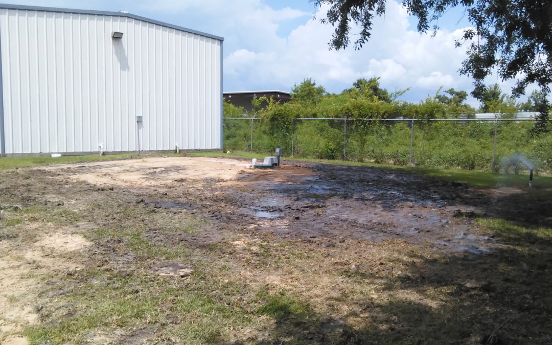 League City – 2015